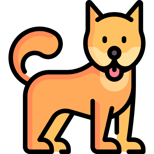 Apto mascotas - Pet Friendly